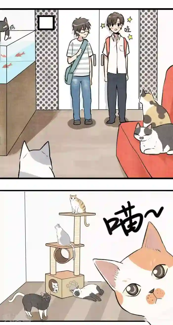 我想成为铲屎官第3话