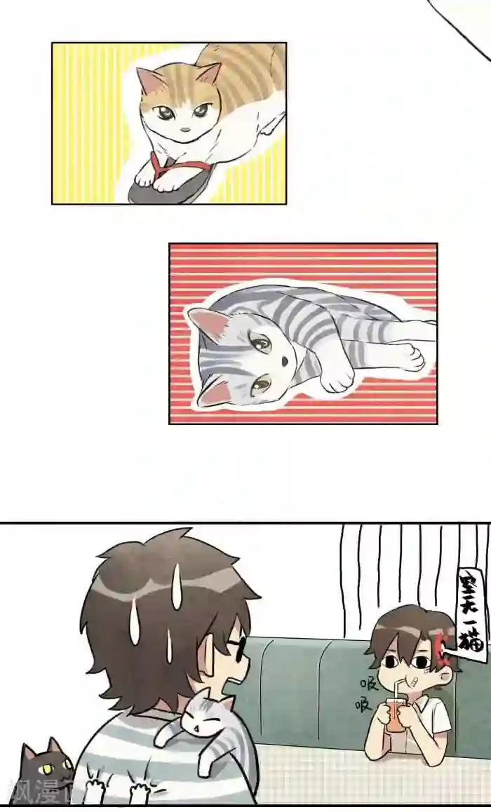 我想成为铲屎官第3话