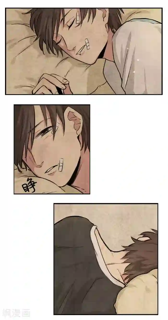 我想成为铲屎官第3话