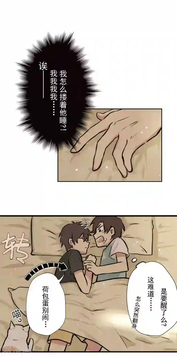 我想成为铲屎官第3话