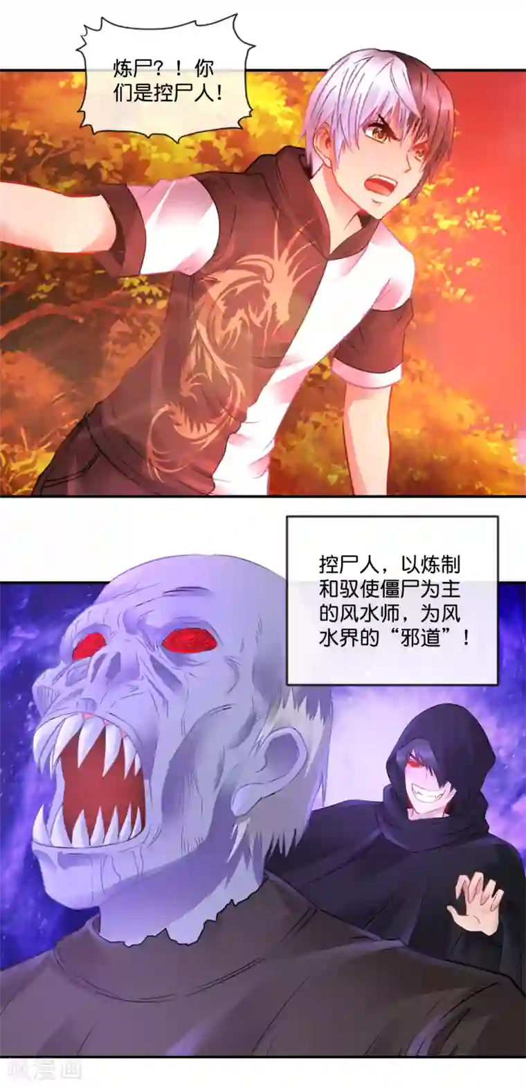 风水天师在都市第67话 控尸人