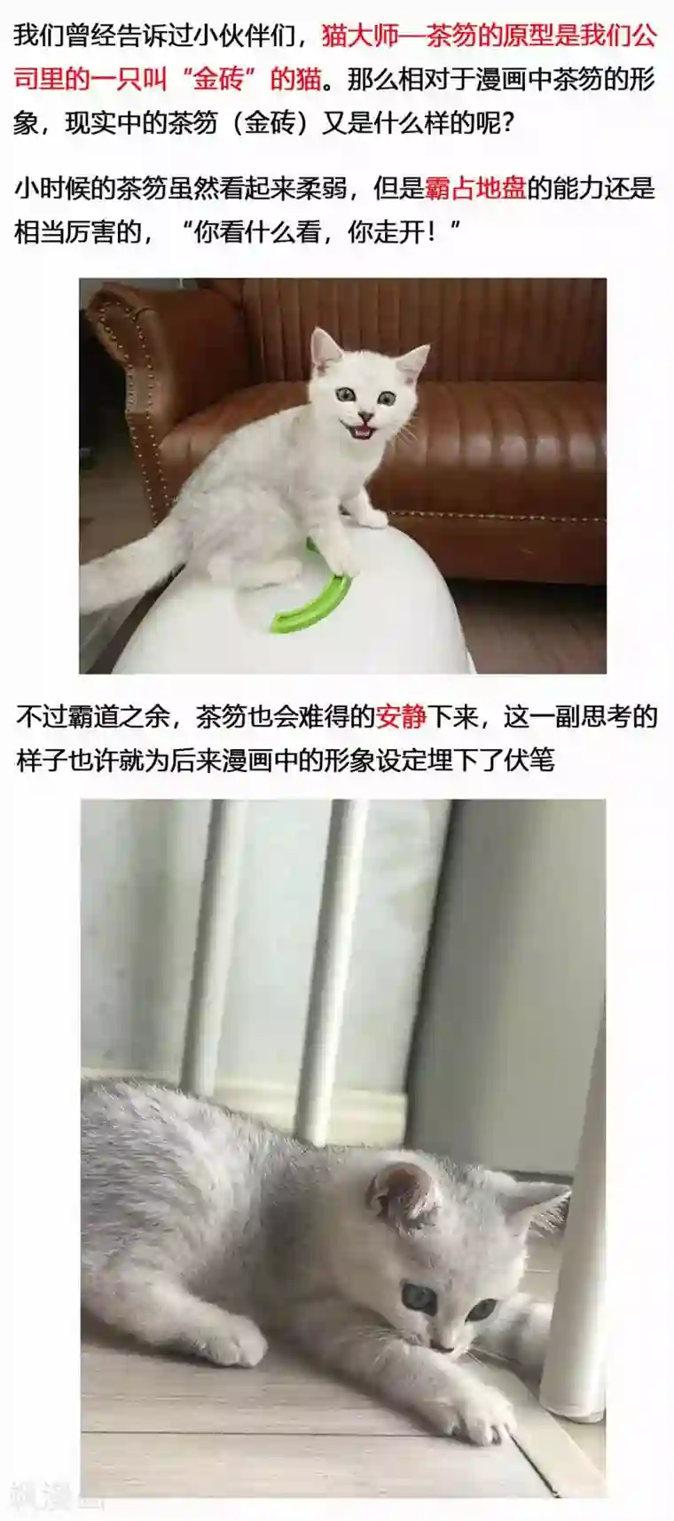 蒸汽世界2：进化回响第18话 镜花天2