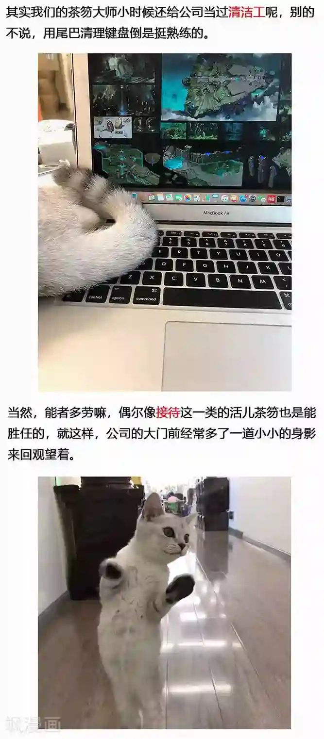 蒸汽世界2：进化回响第18话 镜花天2