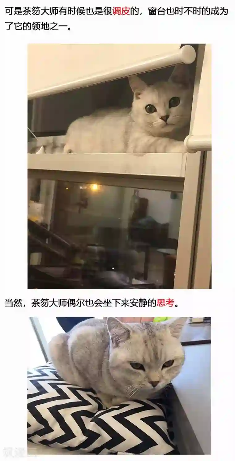 蒸汽世界2：进化回响第18话 镜花天2