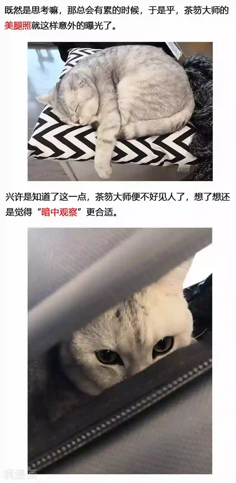 蒸汽世界2：进化回响第18话 镜花天2