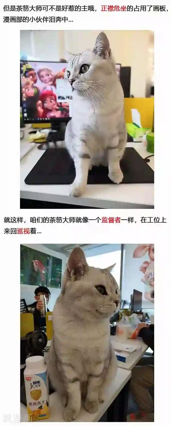 蒸汽世界2：进化回响第18话 镜花天2