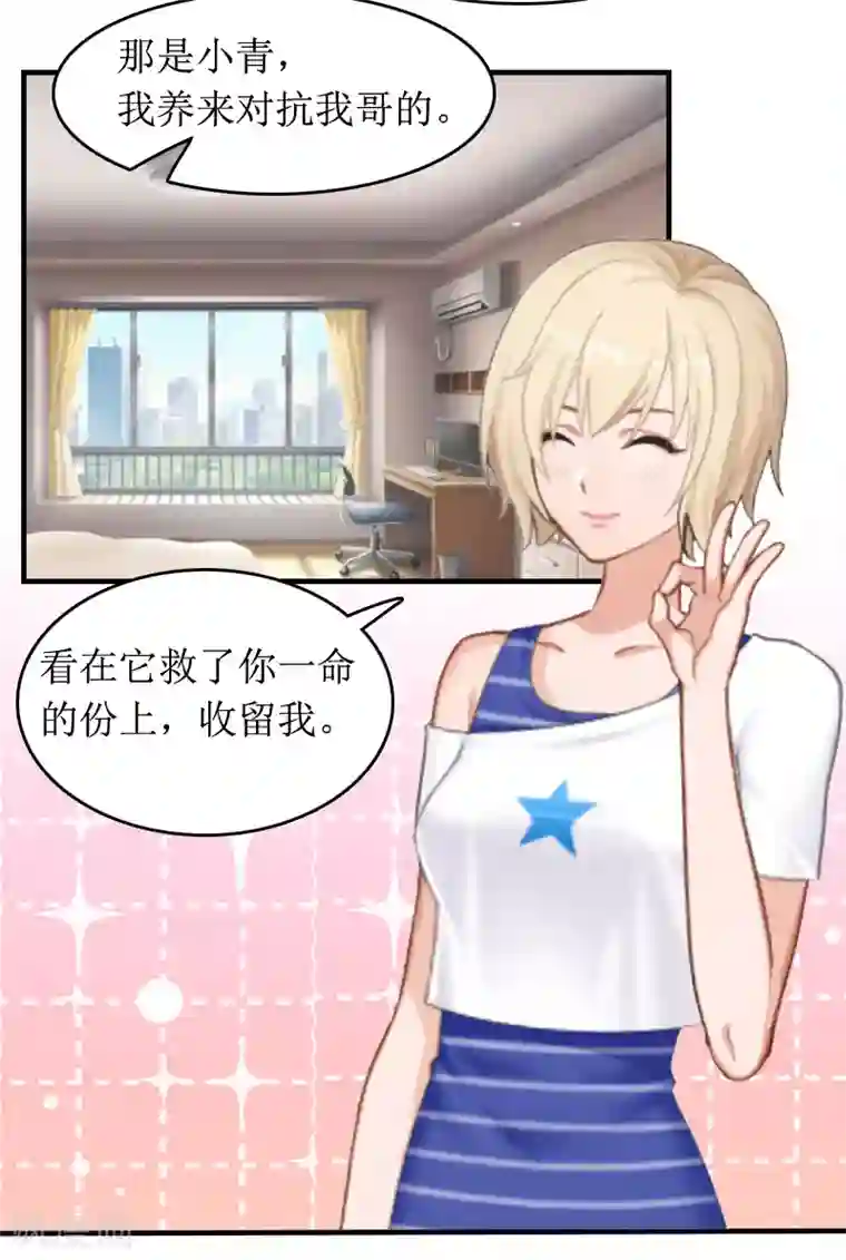 总裁大人晚上好第7话 言寒与言青