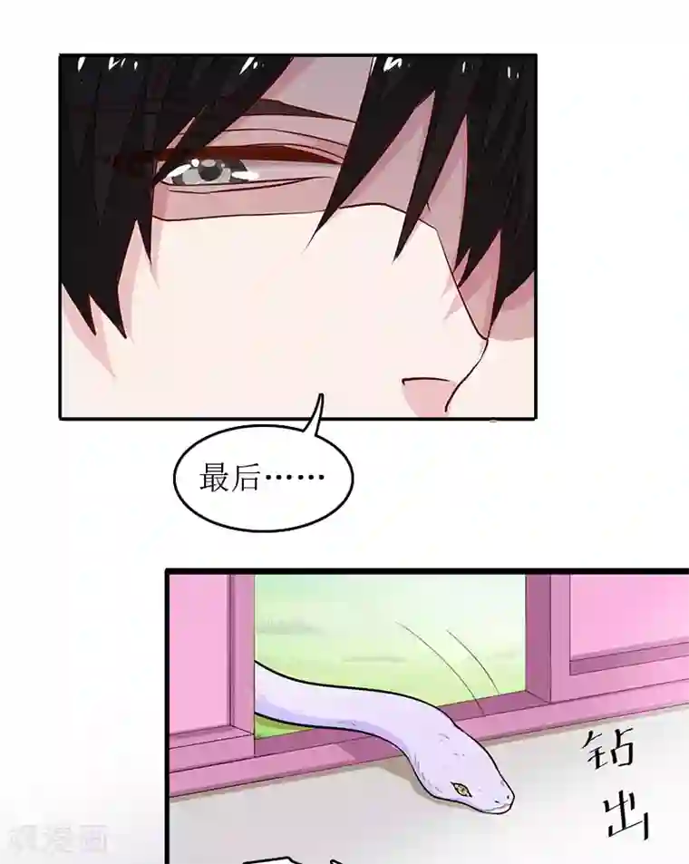 总裁大人晚上好第8话 原谅的条件