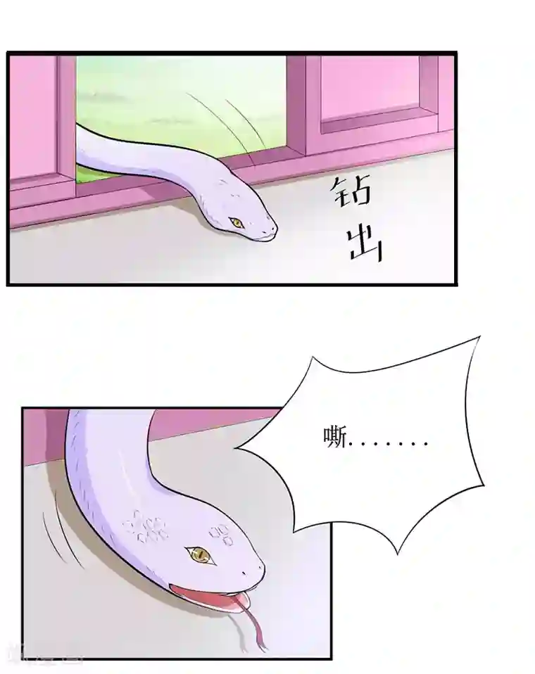 总裁大人晚上好第8话 原谅的条件