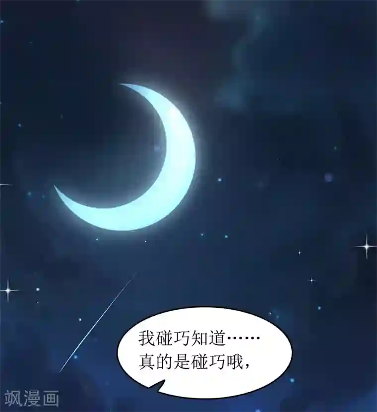 总裁大人晚上好第12话 陪他看星星