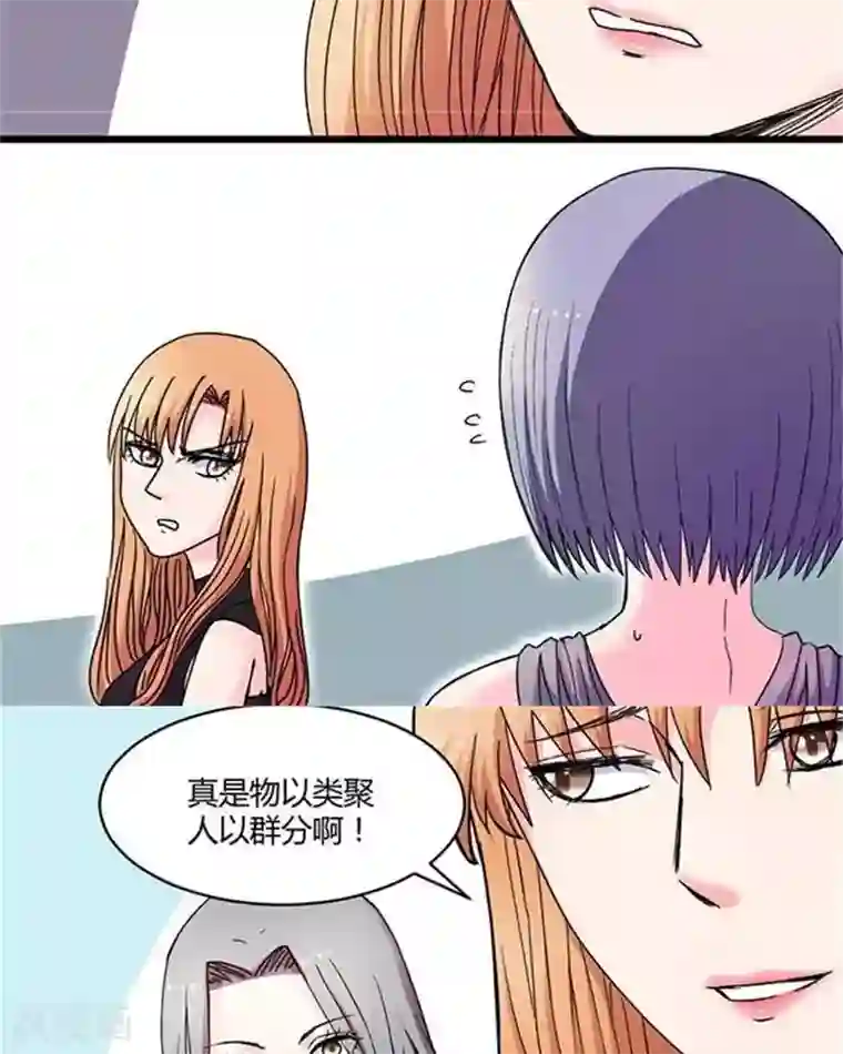 绿茶婊气运师第14话