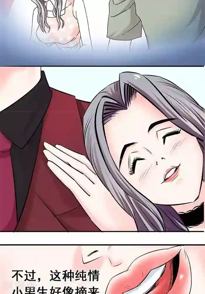 误入狼群的小绵羊全文第19话