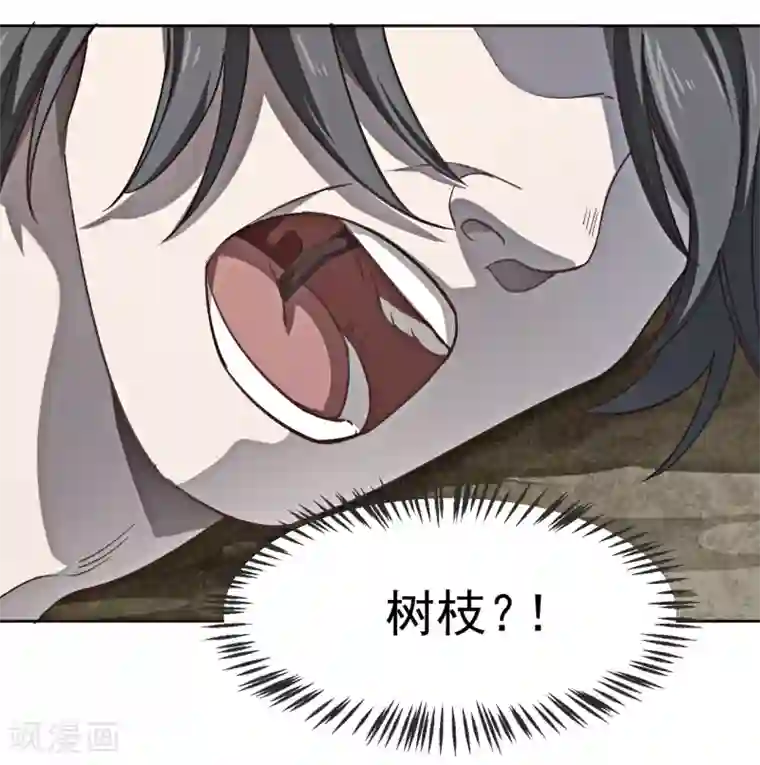 刑侦夜话第1话 诡异的树枝