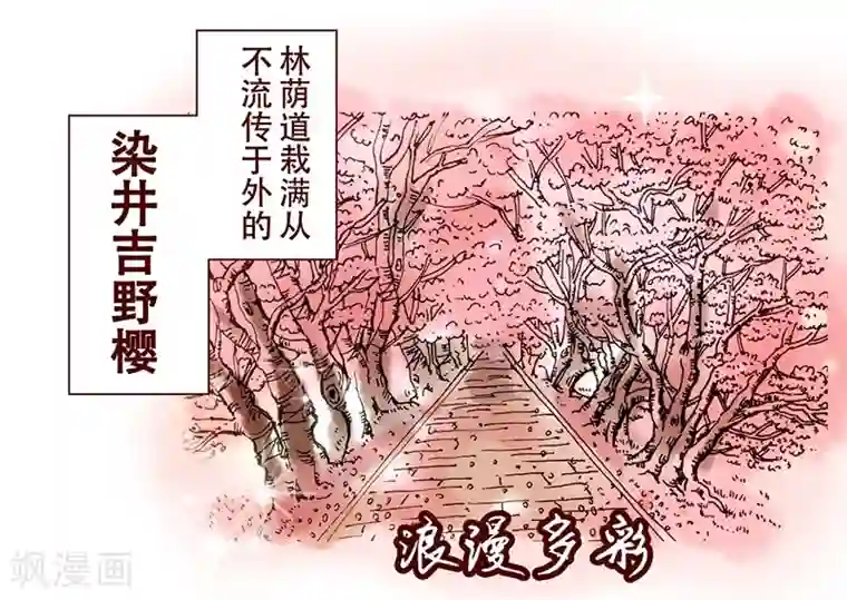 柏岩子的设计日常第17话 听甲方霸霸的话
