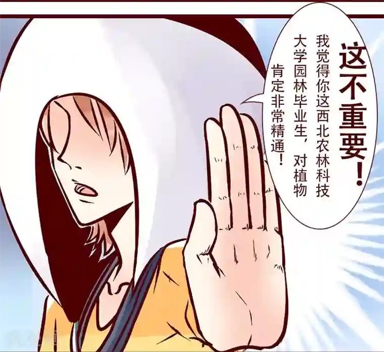 柏岩子的设计日常第75话 所谓的强项