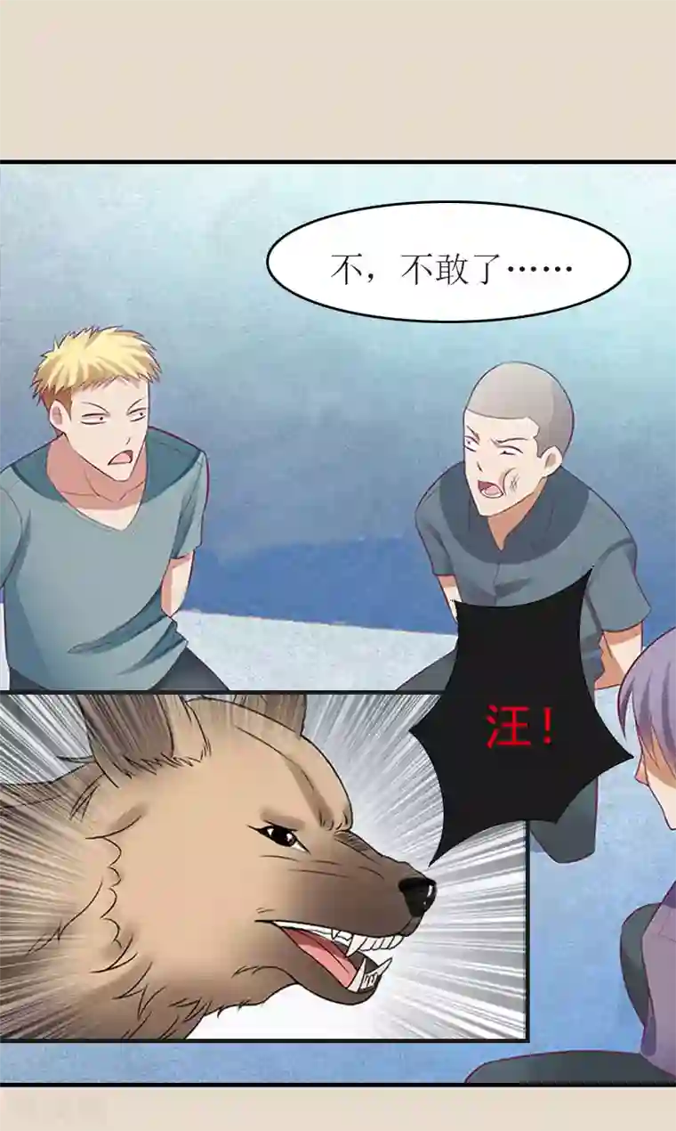 豪门危机：霸道男友救萌妻第8话 陈笑卉消失？