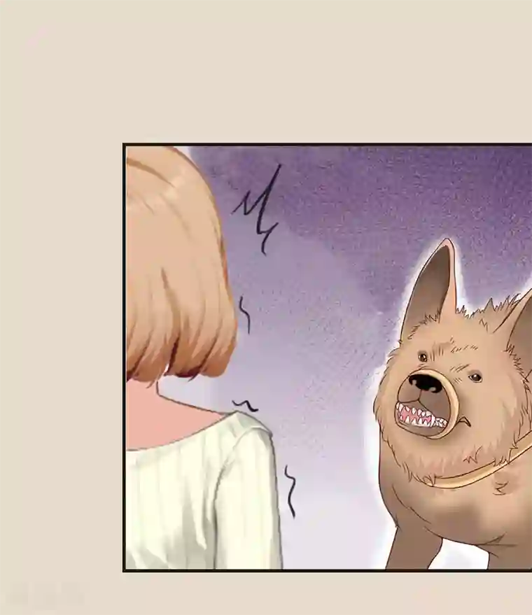 豪门危机：霸道男友救萌妻第9话 只剩下一年