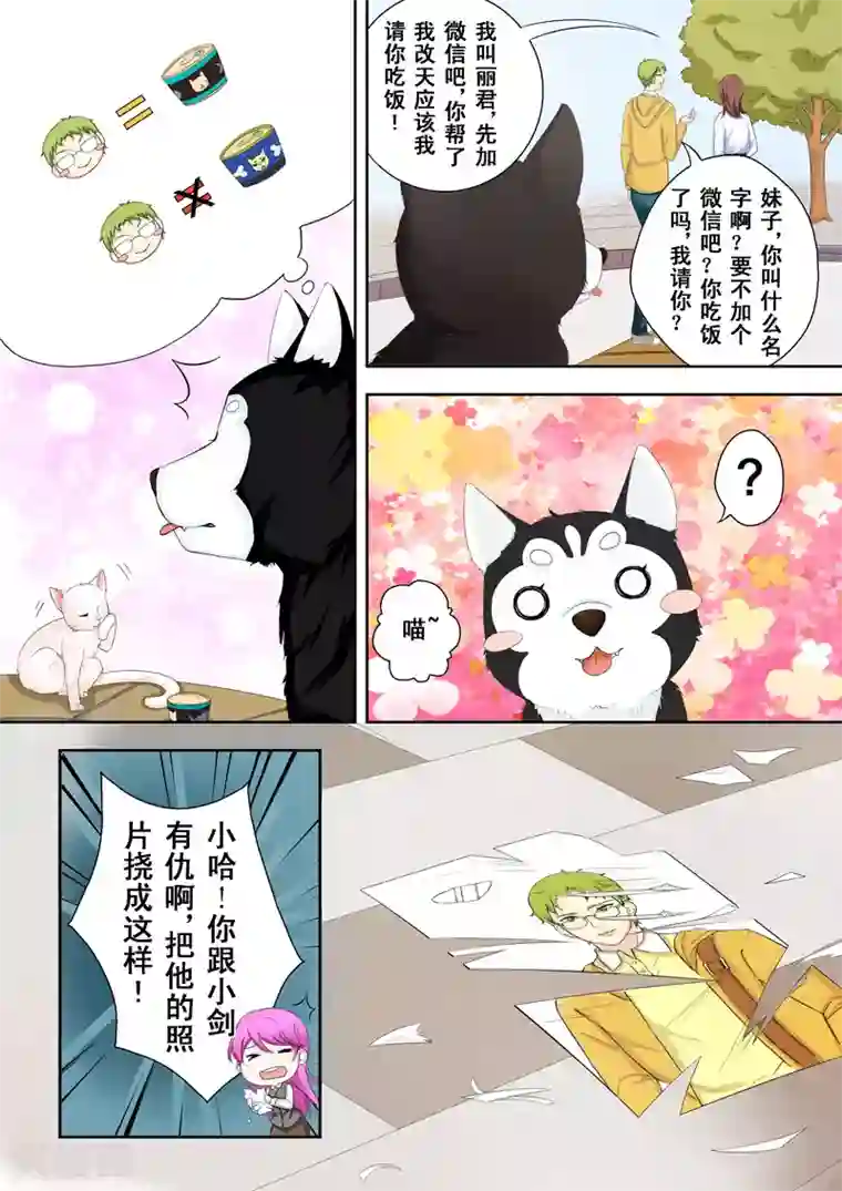 没白活第2话 多面的杨小剑