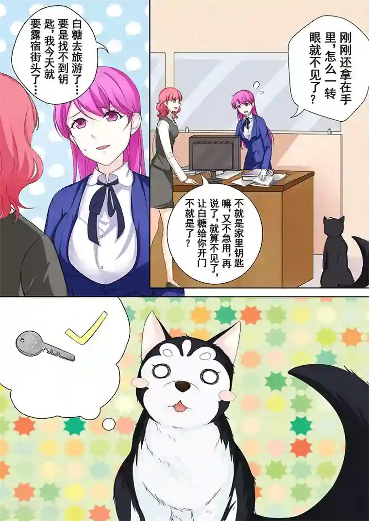 没白活第5话 我不是二哈