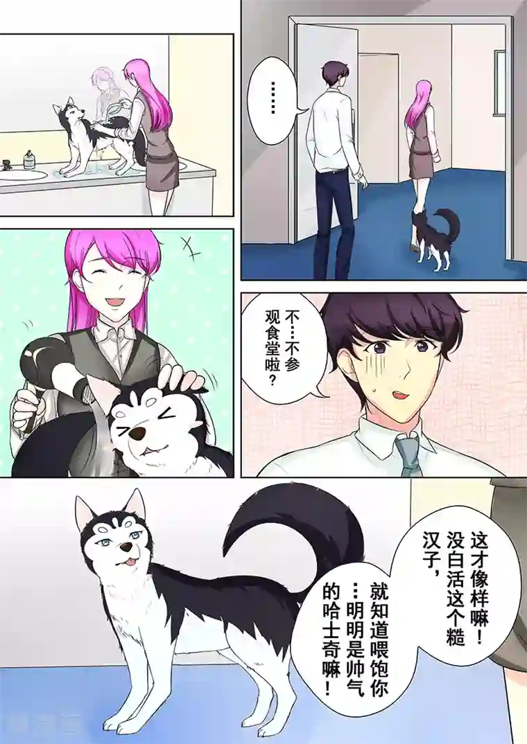 没白活第5话 我不是二哈