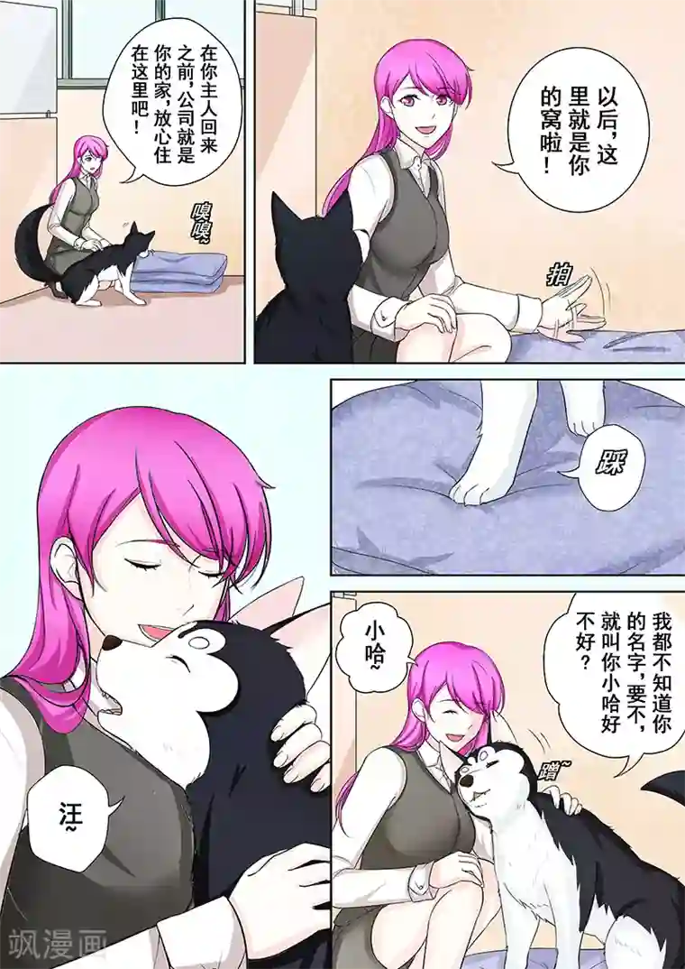 没白活第5话 我不是二哈