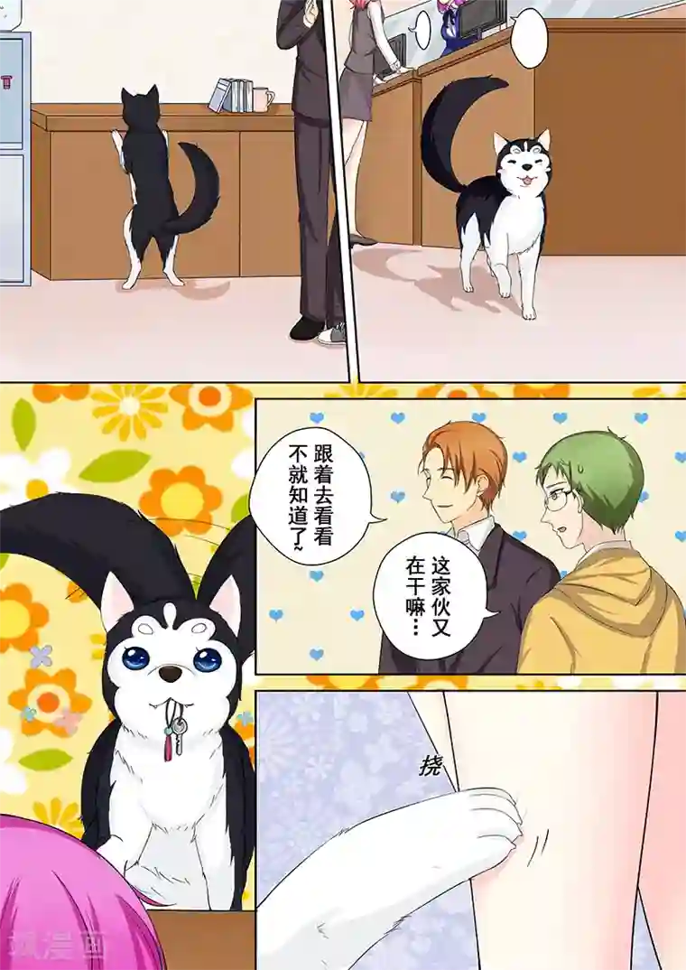 没白活第5话 我不是二哈