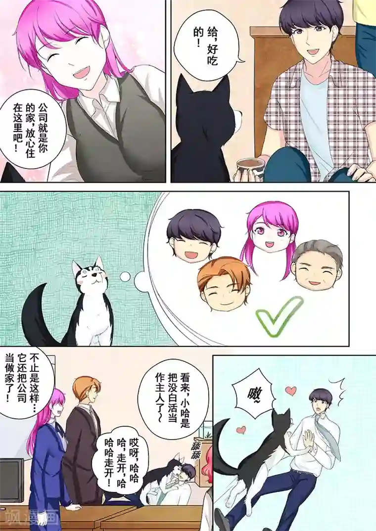 没白活第5话 我不是二哈