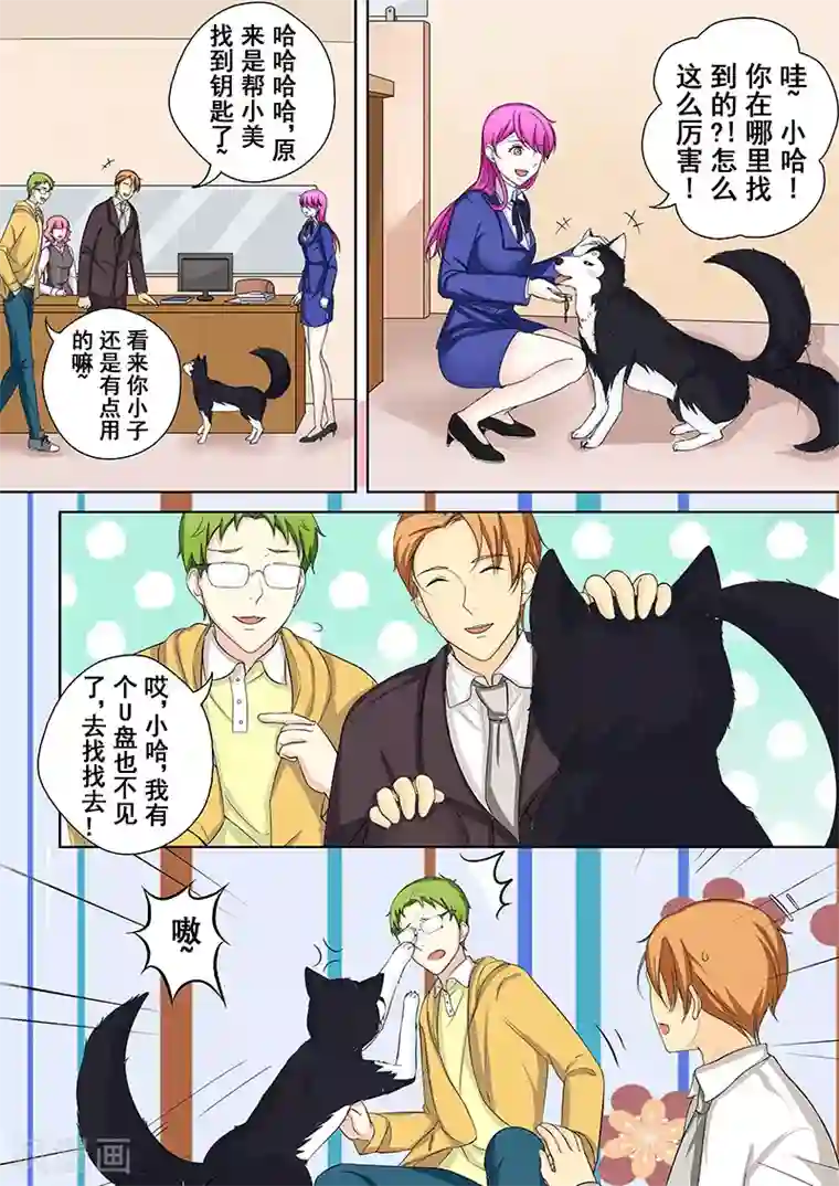 没白活第5话 我不是二哈