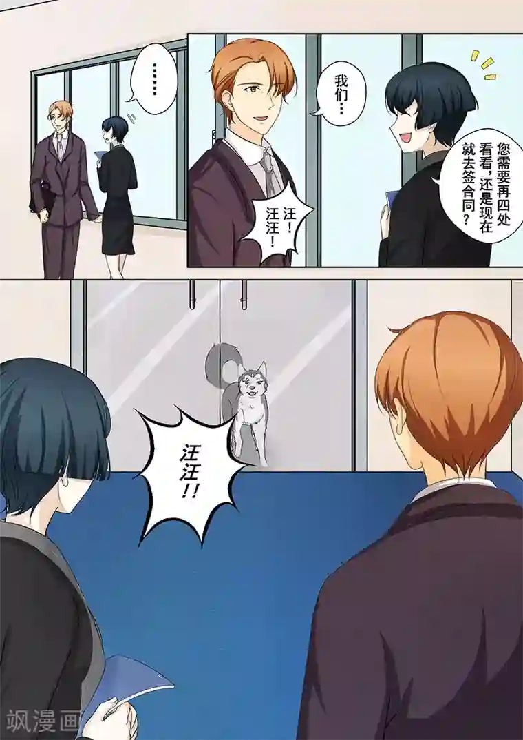 没白活第5话 我不是二哈