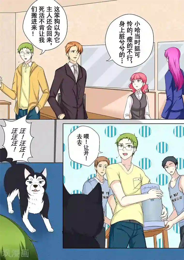 没白活第5话 我不是二哈