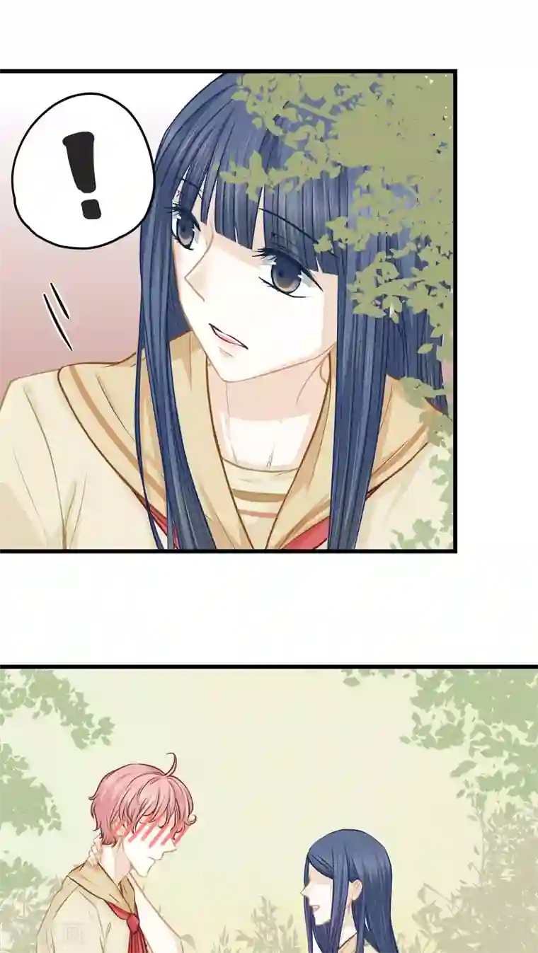两生花第10话