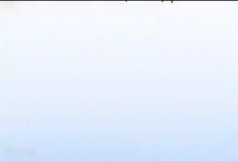 冰山总裁的冒牌新娘第8话 恩爱夫妻