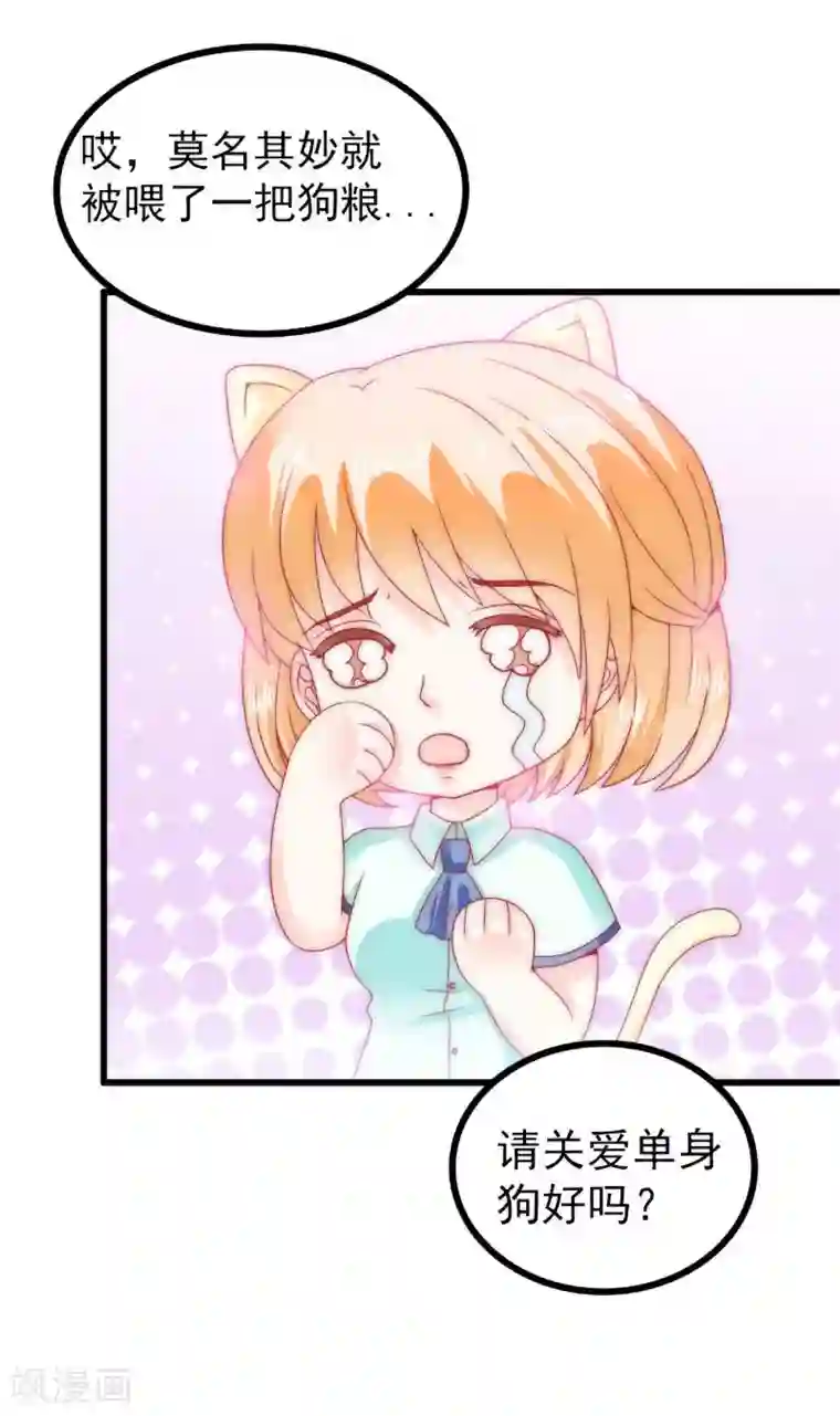 冰山总裁的冒牌新娘第83话 拜托不要撒狗粮了！