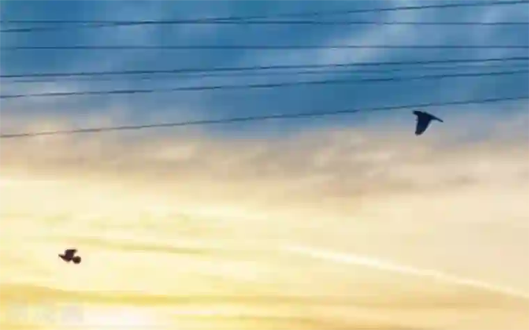 顾漫第9话 当红