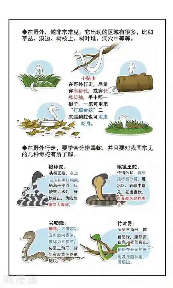 飒漫童子军第3话 危机不断！