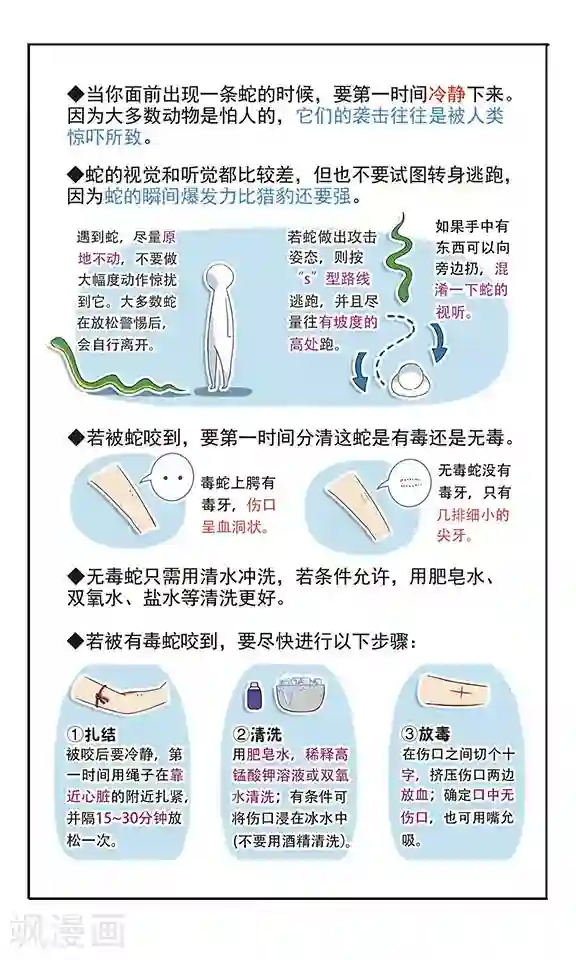 飒漫童子军第3话 危机不断！