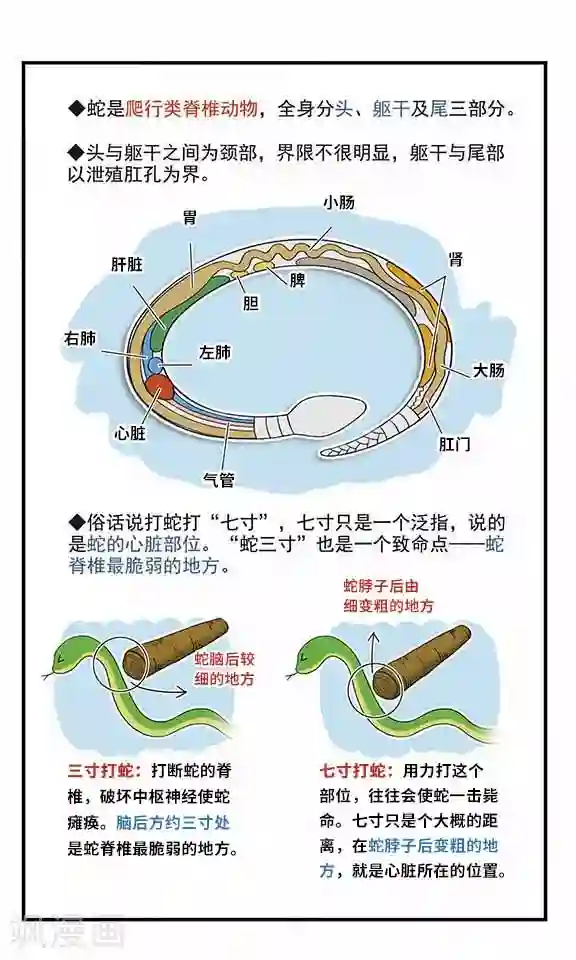 飒漫童子军第4话 危机解除