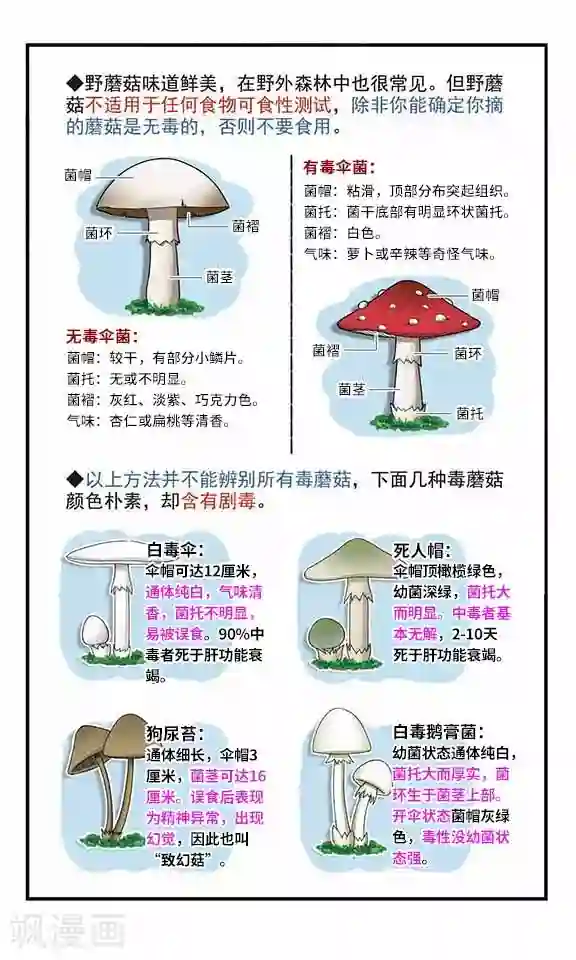 飒漫童子军第4话 危机解除