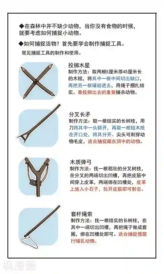 飒漫童子军第8话 森林寻路