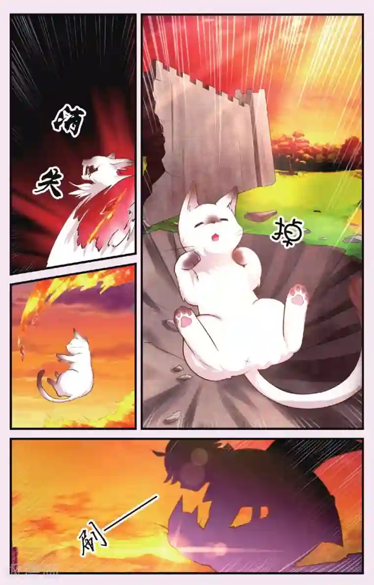 灰烬之心第1话 猫之祸