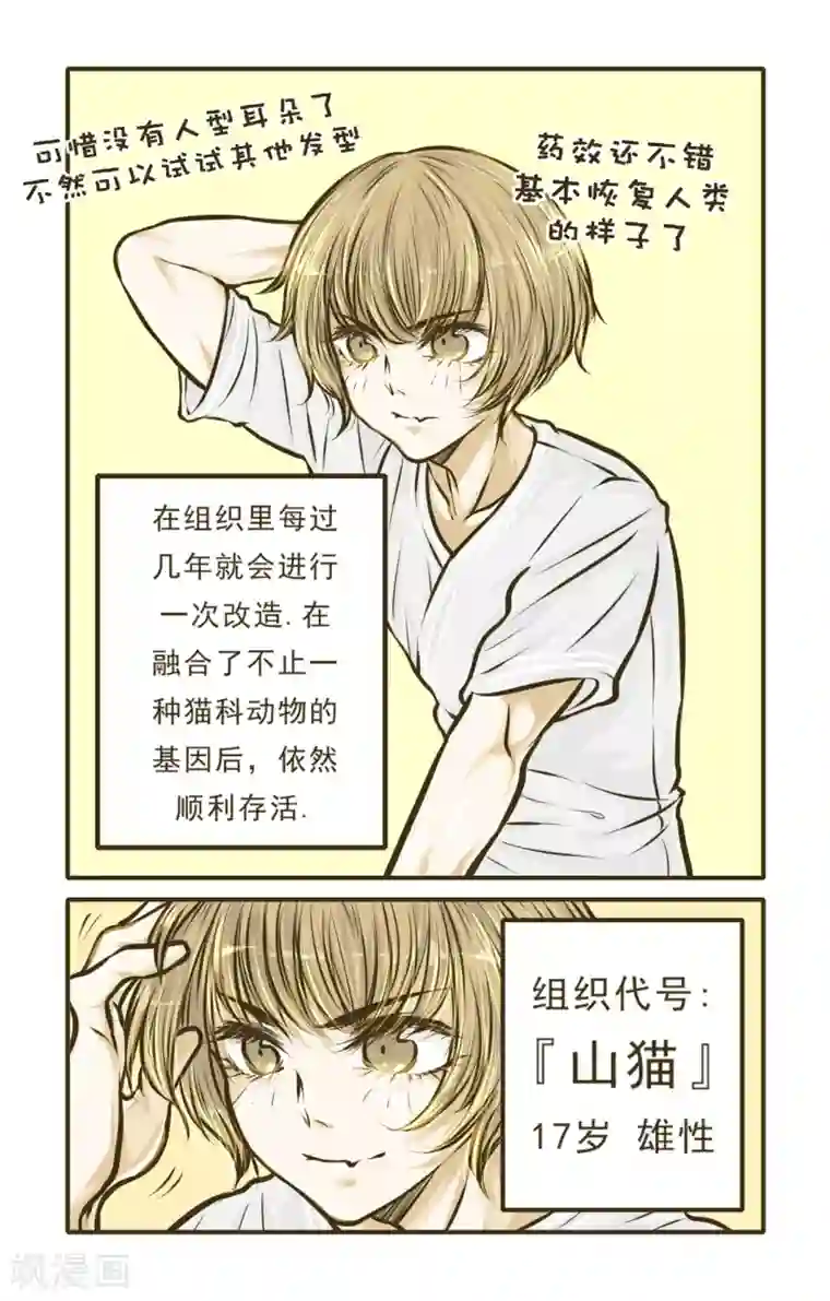 绅士与山猫第3话