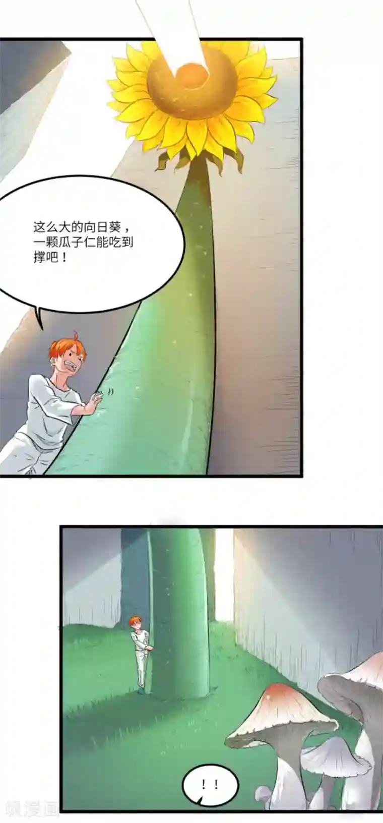 光合狂想曲第8话