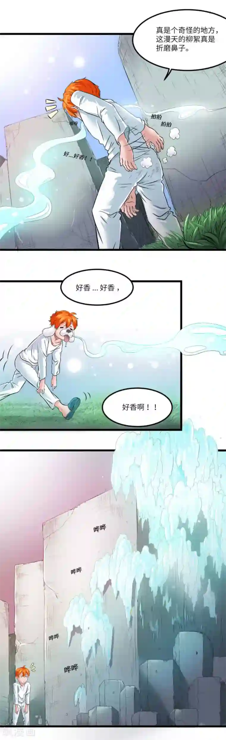 光合狂想曲第8话