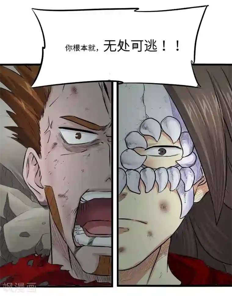 光合狂想曲第11话