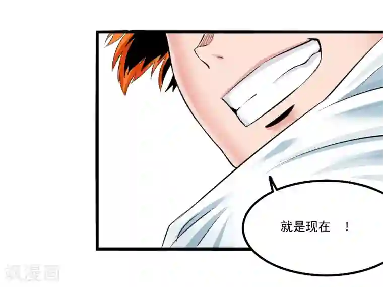 光合狂想曲第17话