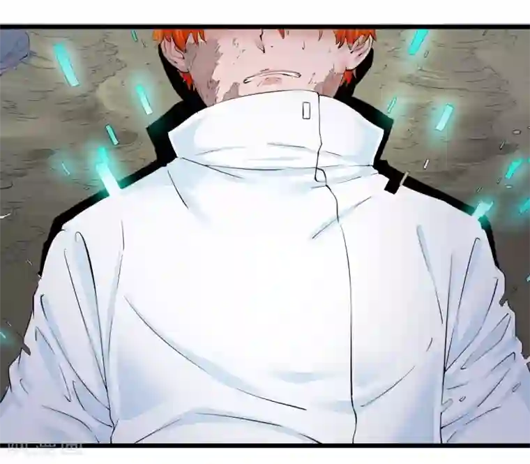 光合狂想曲第26话