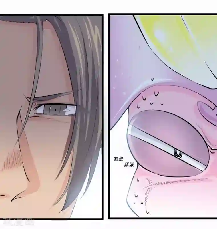 光合狂想曲第26话