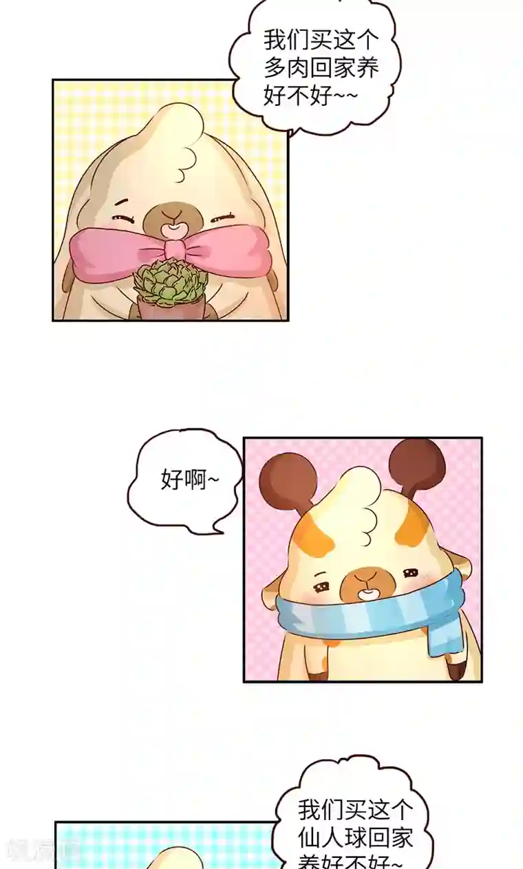 Asmr福利视频在线观看第4话 养植物