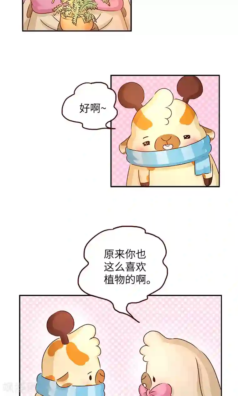 Asmr福利视频在线观看第4话 养植物