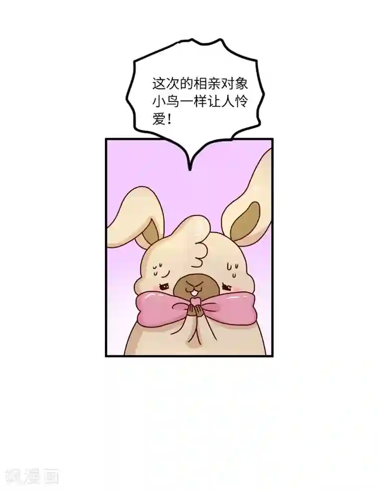 落枕Longneck第94话 继续相亲